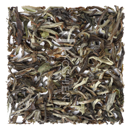Ambootia SFTGFOP1 (EX 01) Organic Darjeeling First Flush