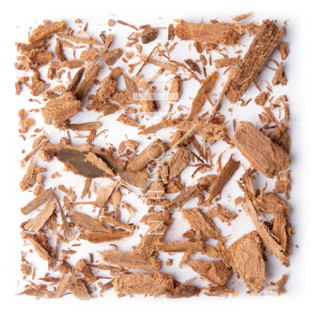 Tisane de Jatoba, cueillette sauvage
