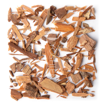 Tisane de Catuaba, cueillette sauvage