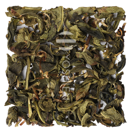 Benifuuki Oolong Sanbancha