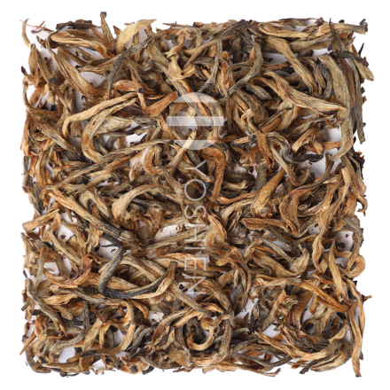 Jamguri Golden Blossom Bio Assam