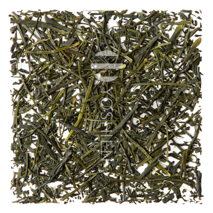 Organic Sencha Kinezuka Yamakai
