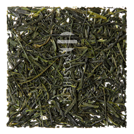 Organic Chiran Shincha Yabukita