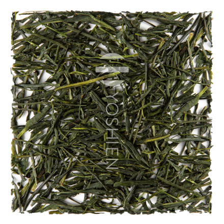 Organic Sencha Miyazaki