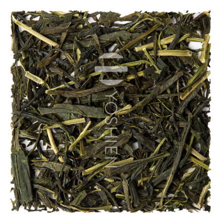 Organic Sencha Ishikawa Nami
