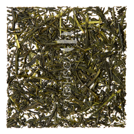 Fukamushi Sencha Niikawa Yamakai Bio