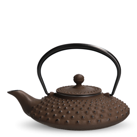 Iwachu Tetsu-Kyusu Kambin Braun S
