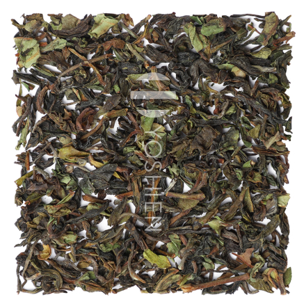 Orange Valley SFTGFOP1 Blend Organic Darjeeling First Flush