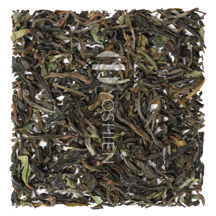 Phuguri FTGFOP1 Blend Organic Darjeeling First Flush