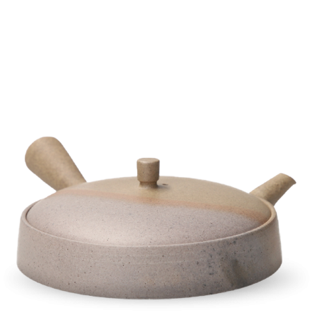 Kyusu Tokoname Jinshu Hira Yohen L