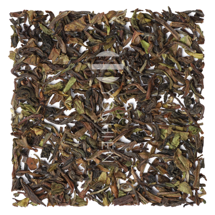 Darjeeling Earl Earl Grey Bio