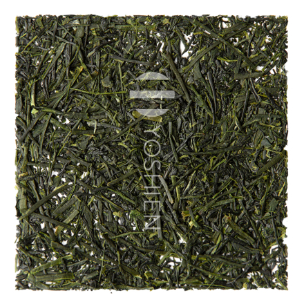 Sencha Fukamushi Chiran Kanayamidori Bio