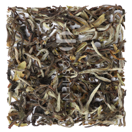 Chontong White Darjeeling Organic First Flush