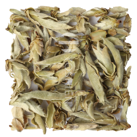 Ya Bao White pest.frei Super Premium Grade