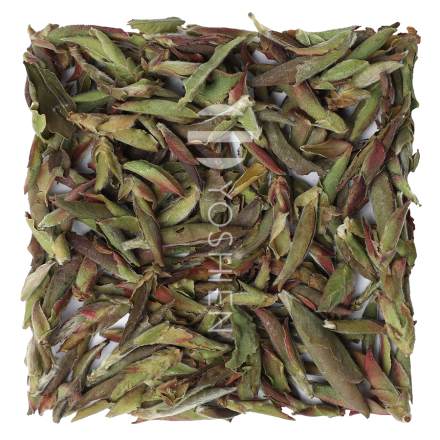 Ya Bao Purple Highest Grade White Tea, Yunnan