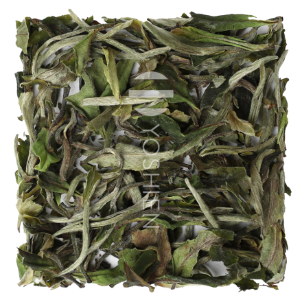 Yunnan Bai Mu Dan Super Premium Bio