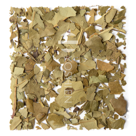 Yerba Mate Triunfo Aged Bio