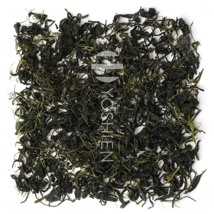 Jiaogulan à 7 feuilles