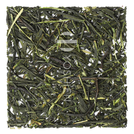 GABA 300 Kinezuka Tea