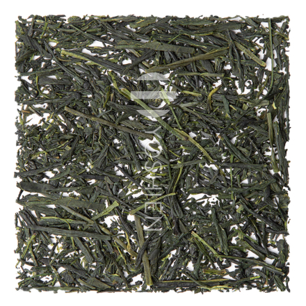 Organic Shibushi Gyokuro