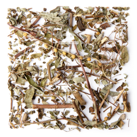 Chanca Piedra Tea  Wild-Grown