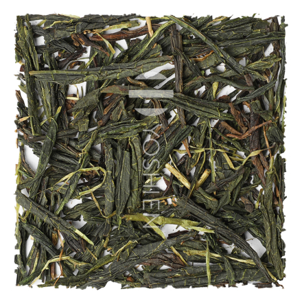 GABA Tee 140 Chiran Pest.Free