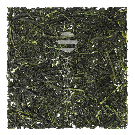 KABUSECHA HOSHINO OKUMIDORI Thé vert du Japon