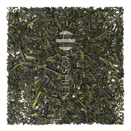 Sencha Yame Ai Pest.Free