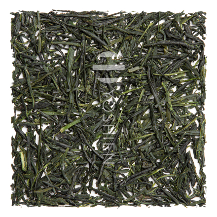 Sencha Uji Yabukita Organic