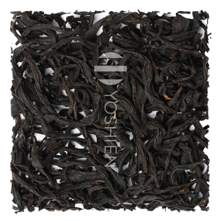 Wakocha Yame Benifuuki Organic