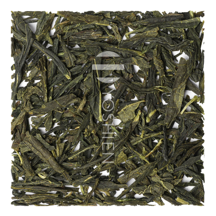 Sencha High Catechin | EGC