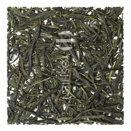 Sencha Immune Active IgA Organic