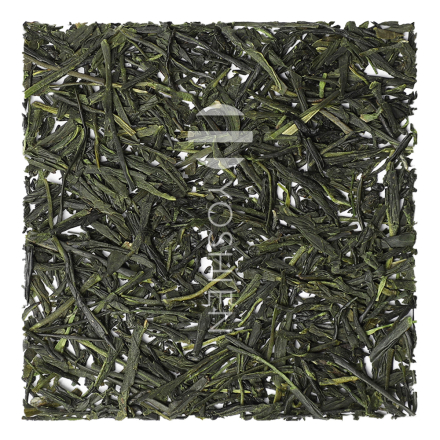 Organic Sencha High Catechin | EGCG