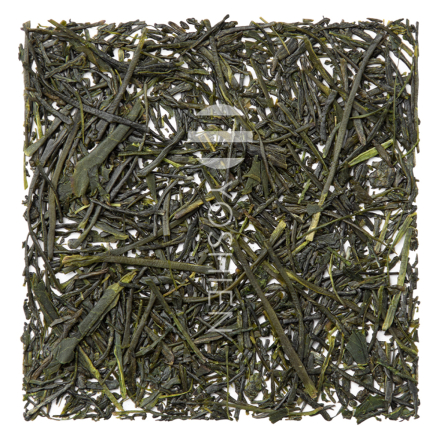 Organic Sencha Chiran Kanayimidori