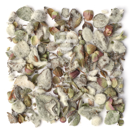 Organic Cretan Dictamos Tea