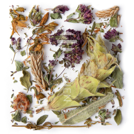 Mursalski Mountain Tea Blend