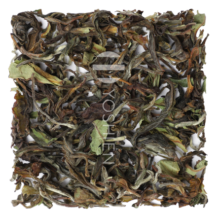 Glenburn Moonshine White Darjeeling First Flush Pesticide Free