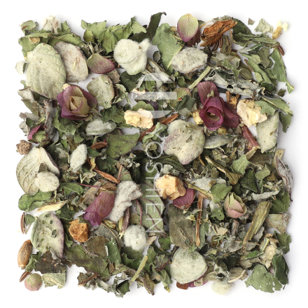 Phyto Activate Liv