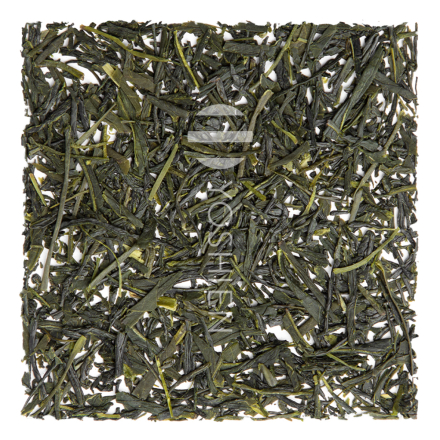 Yame Sencha Chikurin Organic