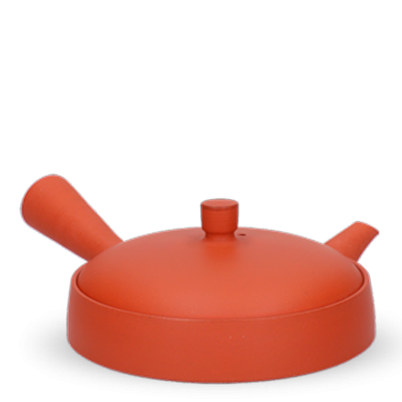 Kyusu Tokoname Jinshu Hira Rot M