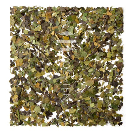 Guayusa Bio