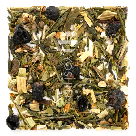 Pressure Balance Phyto Balance