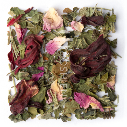 Organic Pressure (-) Phyto Balance