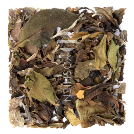 Aged Baoshan Bai Lu Mu Dan 2017 Pest.Free Farming