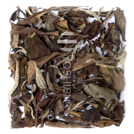 Wu Yi Pai Mu Tan 2017 Super Premium