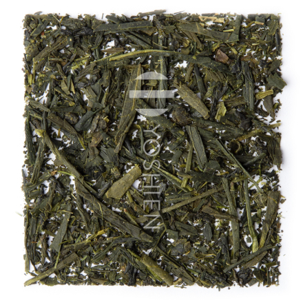 Organic Sencha Natsuban