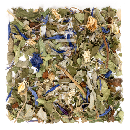 Maman & Bébé Family House Infusion Bio