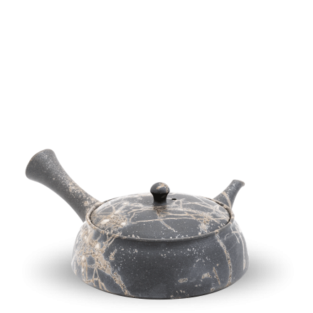 Kyusu Tokoname Teruyuki Isobe Mogake III