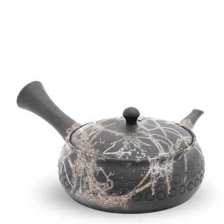 Kyusu Tokoname Teruyuki Isobe Mogake IV
