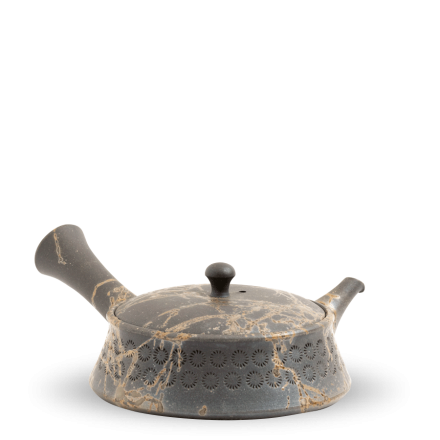 Kyusu Tokoname Teruyuki Isobe Mogake V